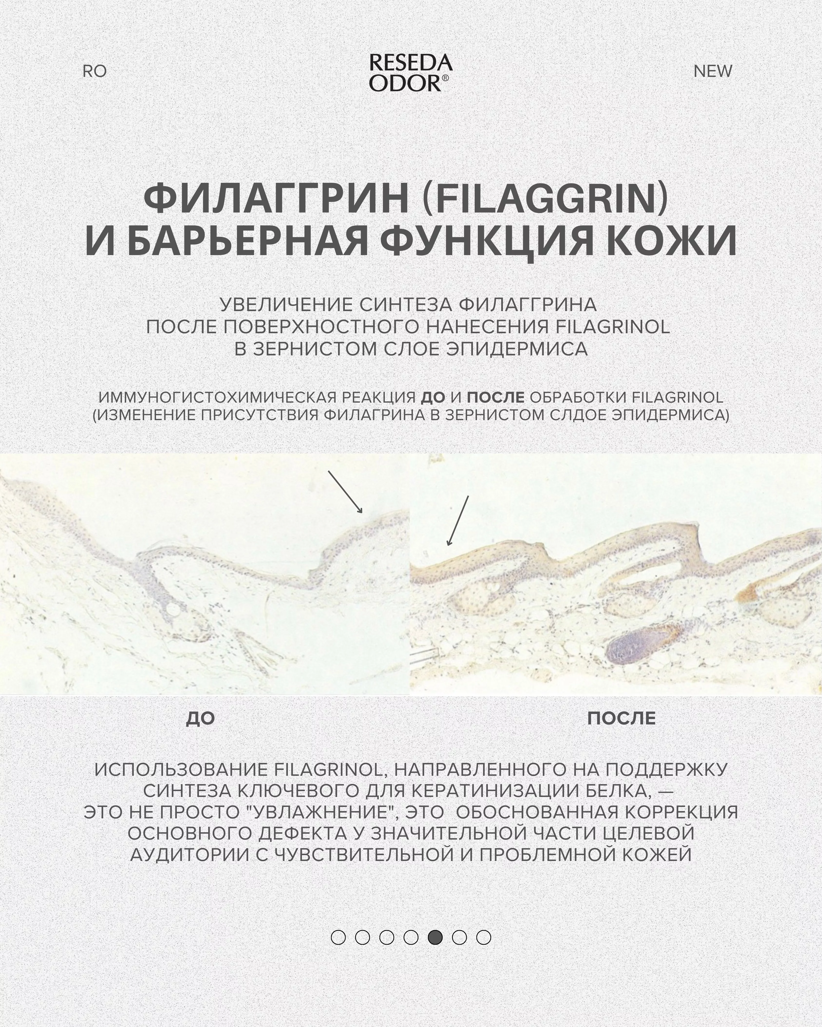 Крем восстанавливающий с церамидами и филагринолом. Filagrinol + Ceramide Repair Cream - resedaodor.com