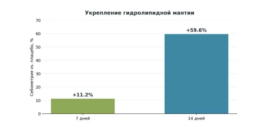 Снимок экрана 2026-09-28 в 17.11.23.png