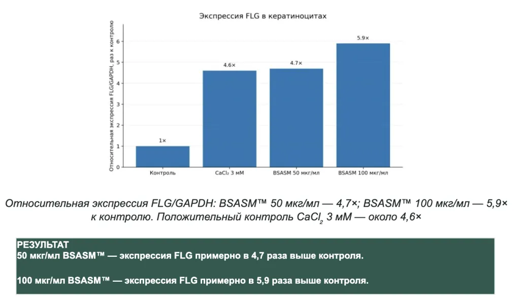 Снимок экрана 2026-09-25 в 21.34.17.png Снимок экрана 2026-09-25 в 21.34.17.png