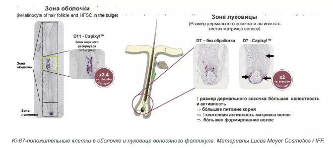 Снимок экрана 2026-08-25 в 22.35.05.png Снимок экрана 2026-08-25 в 22.35.05.png