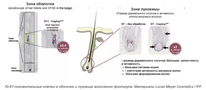 Снимок экрана 2026-08-18 в 16.11.52.png Снимок экрана 2026-08-18 в 16.11.52.png