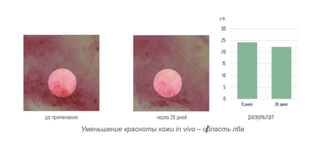 Снимок экрана 2026-09-22 в 16.21.34.png Снимок экрана 2026-09-22 в 16.21.34.png