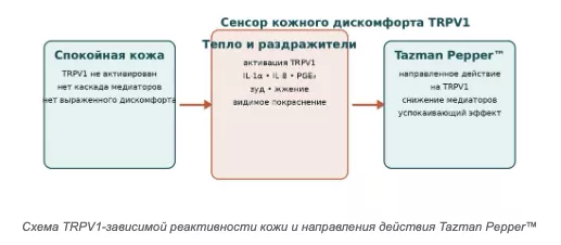 Снимок экрана 2026-08-05 в 18.48.18.png Снимок экрана 2026-08-05 в 18.48.18.png