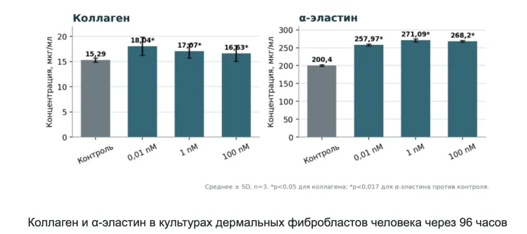 Снимок экрана 2026-09-25 в 20.45.47.png