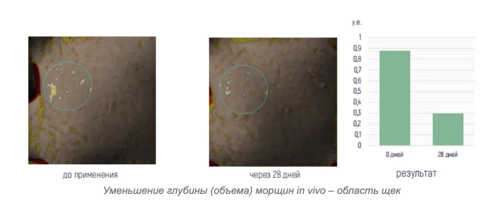 Снимок экрана 2026-09-22 в 16.26.55.png Снимок экрана 2026-09-22 в 16.26.55.png