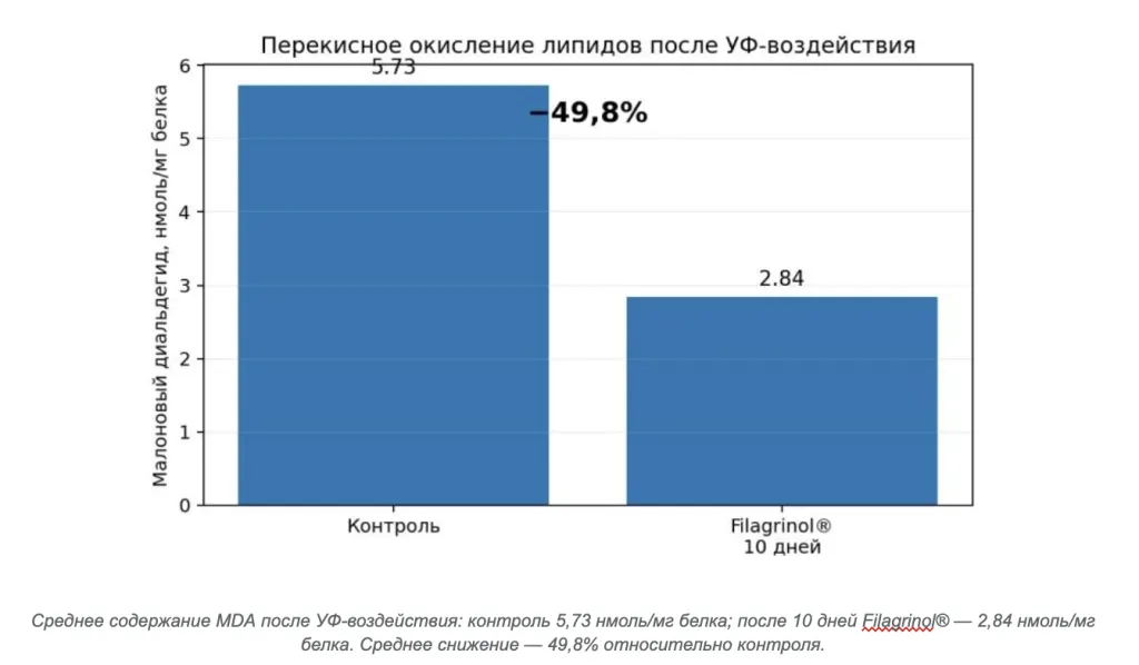 Снимок экрана 2026-10-05 в 17.48.11.png