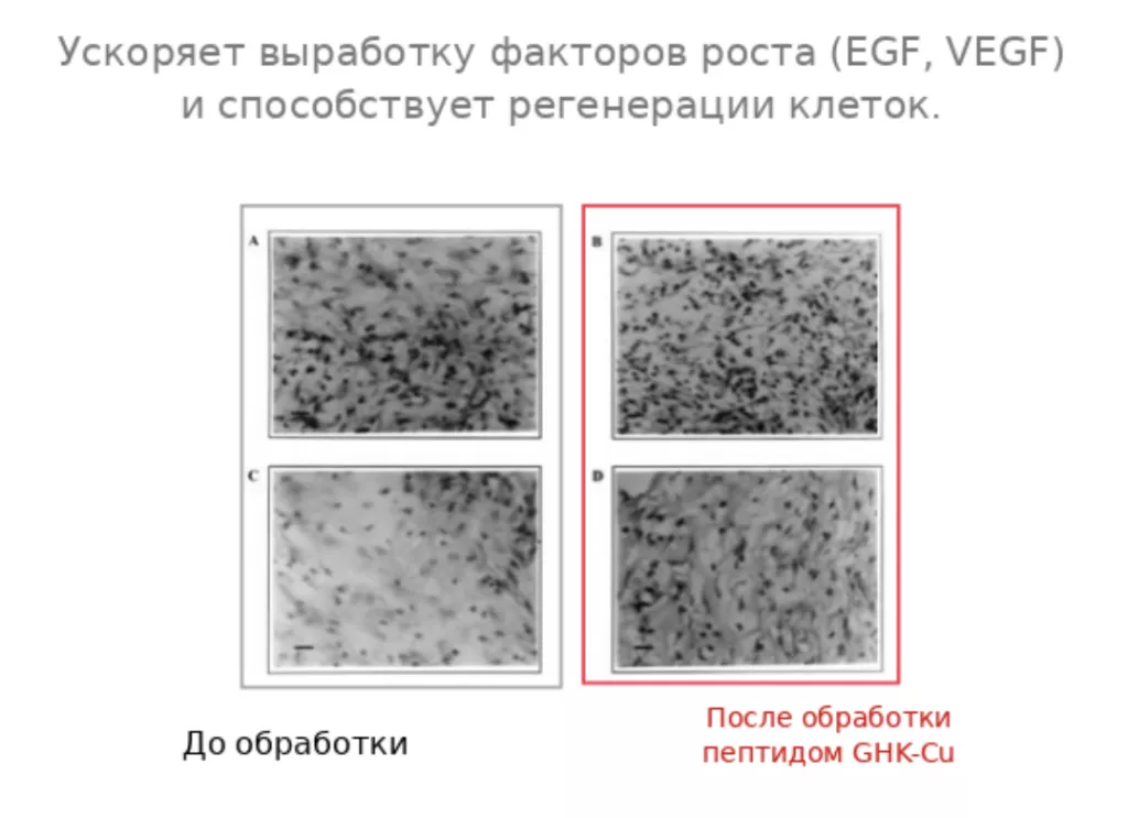 Снимок экрана 2026-02-26 в 21.57.05.png