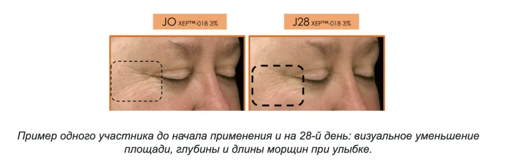 Снимок экрана 2026-09-24 в 21.10.57.png