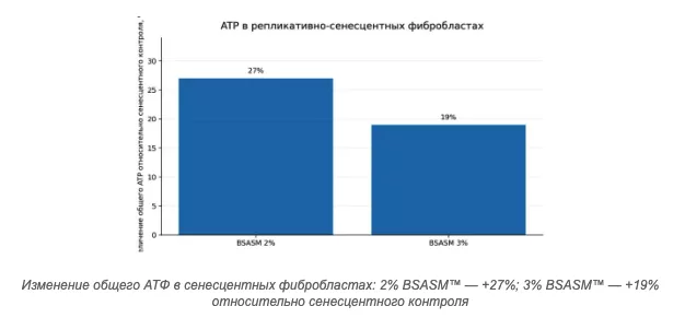 Снимок экрана 2026-08-24 в 21.09.58.png