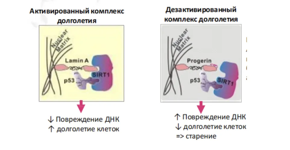 Снимок экрана 2026-10-05 в 18.51.14.png Снимок экрана 2026-10-05 в 18.51.14.png