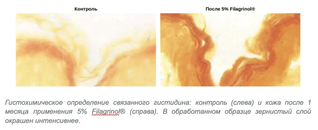 Снимок экрана 2026-09-21 в 21.45.10.png