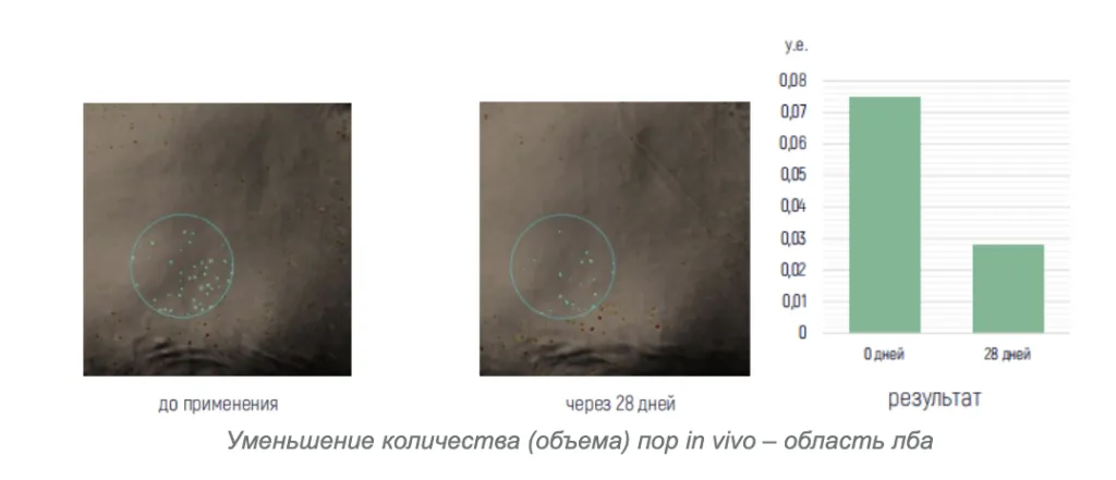 Снимок экрана 2026-09-22 в 16.32.36.png Снимок экрана 2026-09-22 в 16.32.36.png