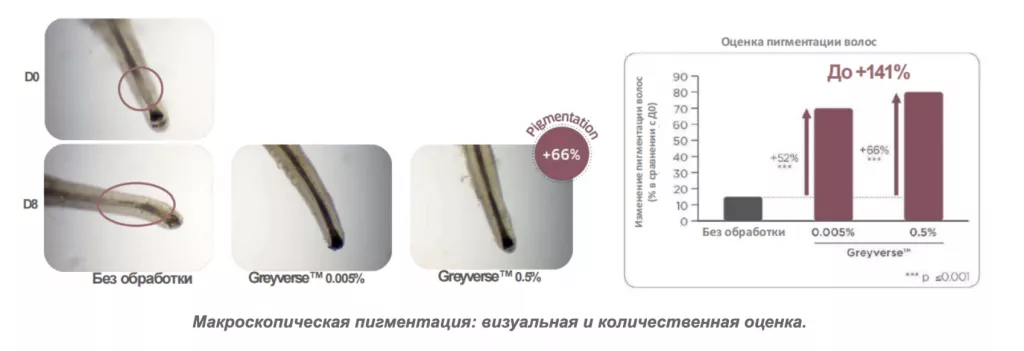 Снимок экрана 2026-07-31 в 19.44.33.png Снимок экрана 2026-07-31 в 19.44.33.png