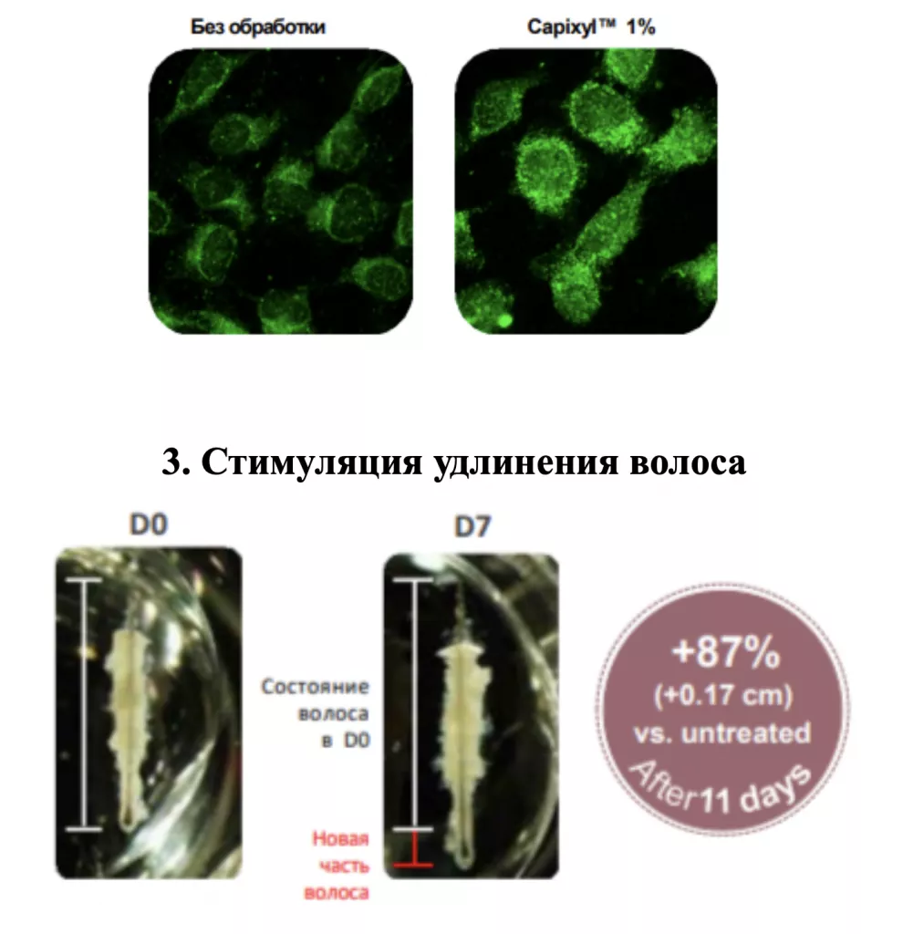 Снимок экрана 2026-02-26 в 21.18.52.png