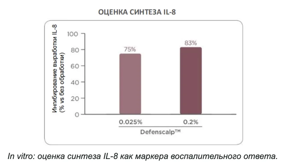 Снимок экрана 2026-09-24 в 19.04.17.png