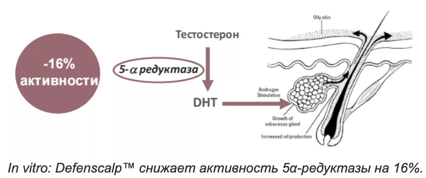 Снимок экрана 2026-07-31 в 20.21.54.png Снимок экрана 2026-07-31 в 20.21.54.png