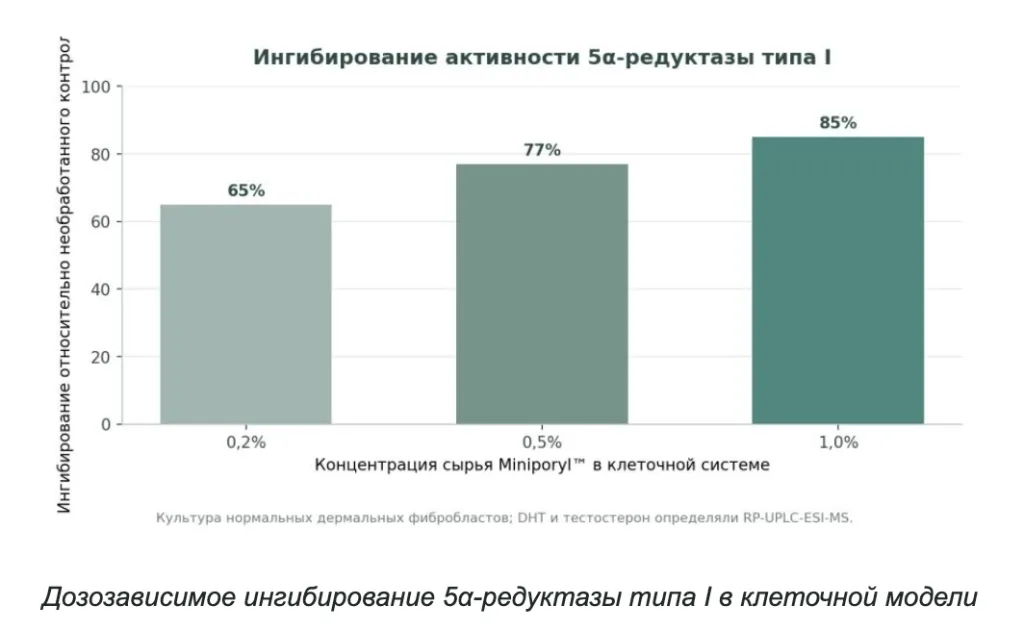 Снимок экрана 2026-09-24 в 19.10.24.png