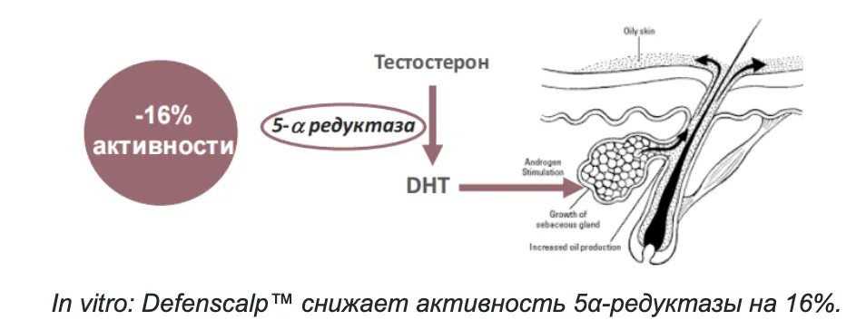 Снимок экрана 2026-09-24 в 18.57.40.png