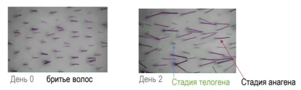 Снимок экрана 2026-02-26 в 21.32.56.png
