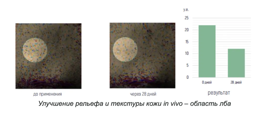 Снимок экрана 2026-09-22 в 16.29.36.png Снимок экрана 2026-09-22 в 16.29.36.png