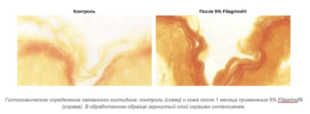 Снимок экрана 2026-09-28 в 16.12.49.png