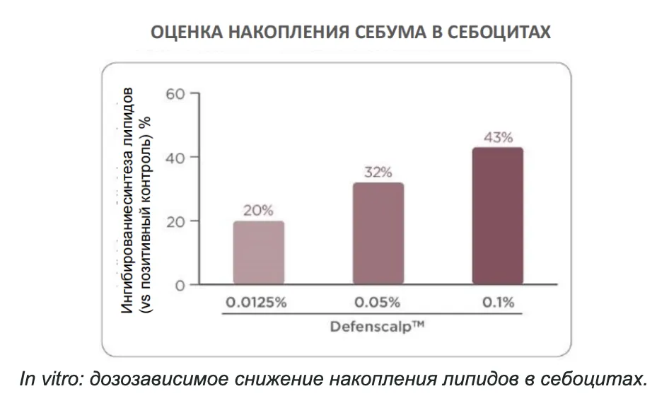 Снимок экрана 2026-09-24 в 19.03.30.png