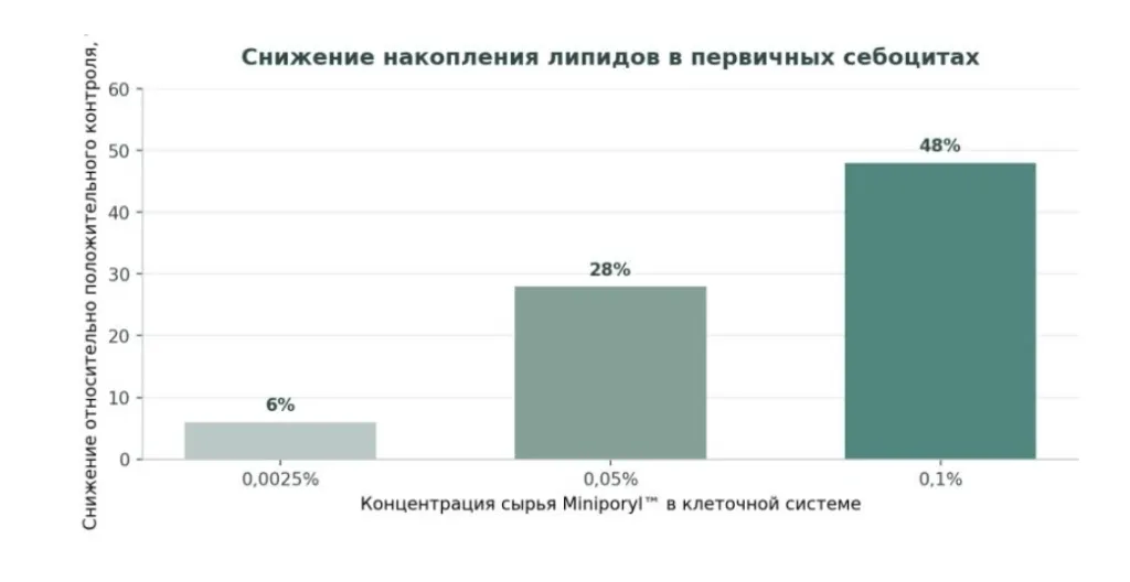 Снимок экрана 2026-10-01 в 21.13.38.png