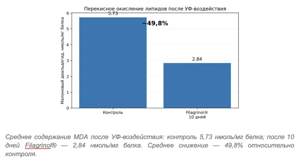 Снимок экрана 2026-09-21 в 21.51.29.png