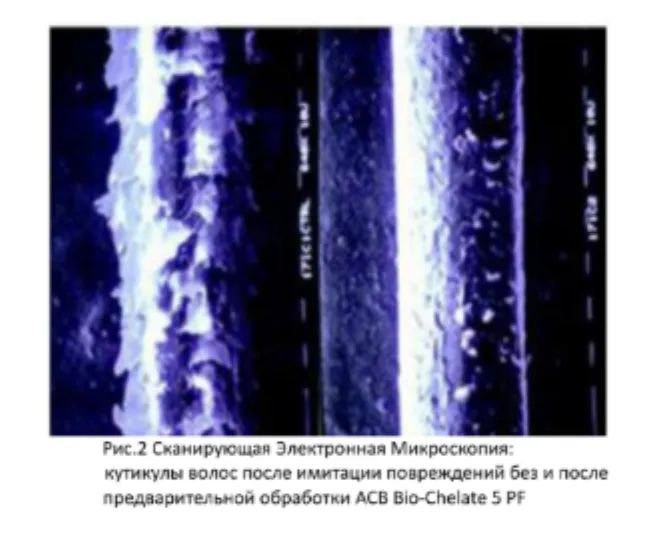 Снимок экрана 2026-10-06 в 17.34.09.png