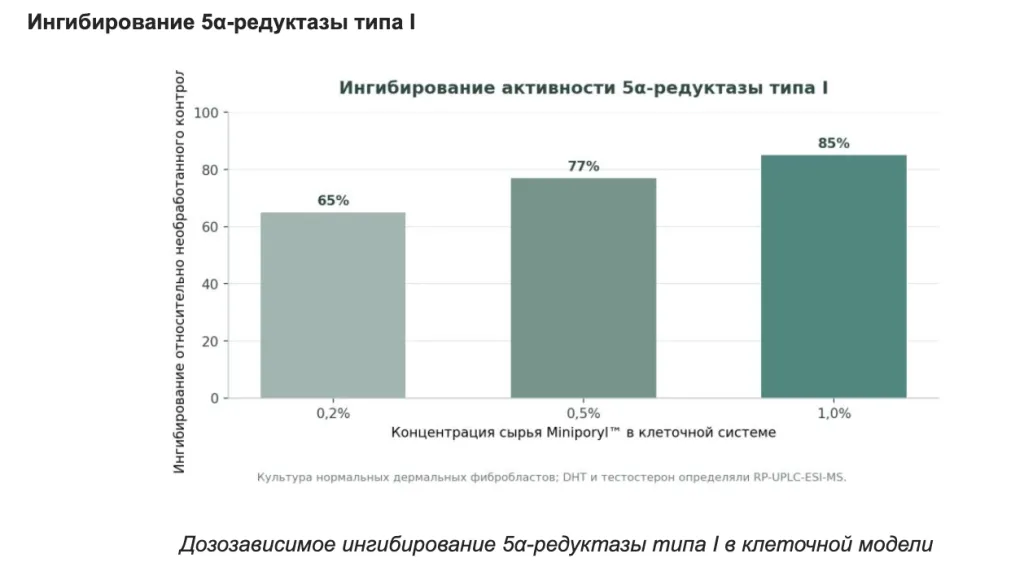 Снимок экрана 2026-10-01 в 21.12.48.png