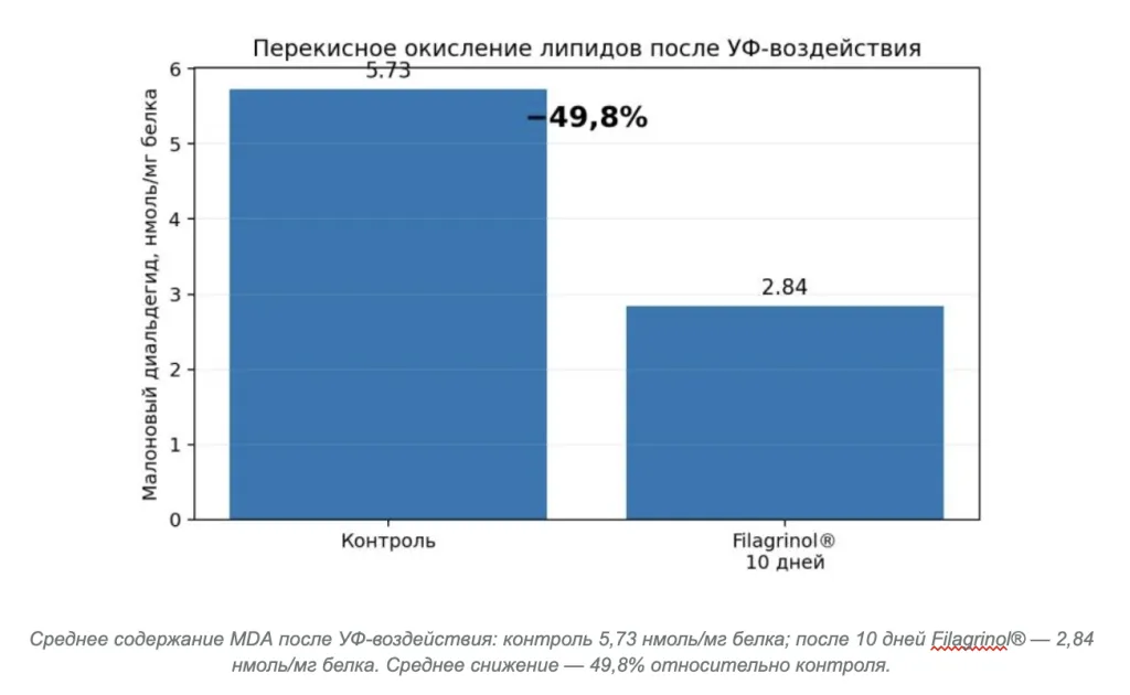 Снимок экрана 2026-09-28 в 16.17.36.png