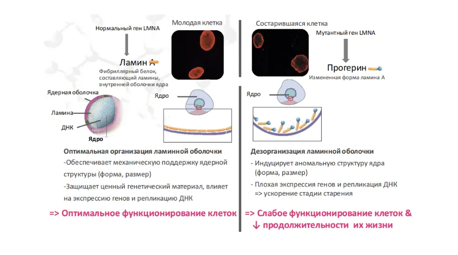 Снимок экрана 2026-10-05 в 18.41.30.png Снимок экрана 2026-10-05 в 18.41.30.png