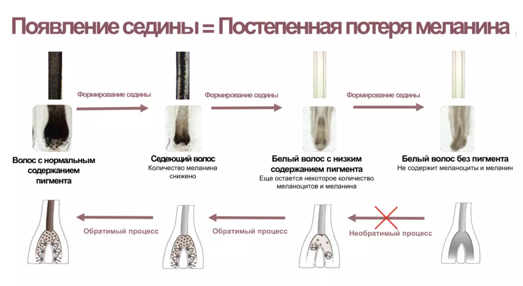 Снимок экрана 2026-07-31 в 19.08.08.png Снимок экрана 2026-07-31 в 19.08.08.png