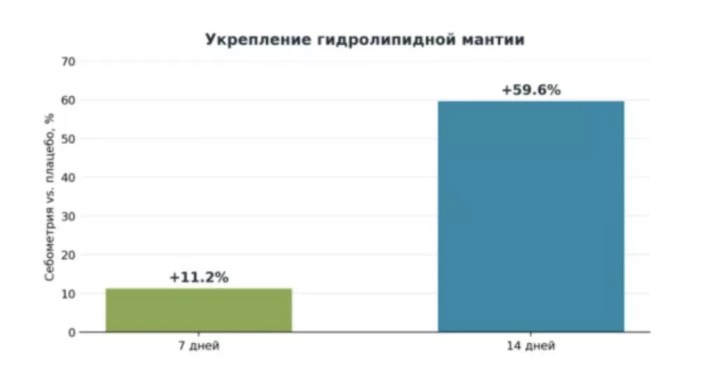 Снимок экрана 2026-08-04 в 20.02.53.png