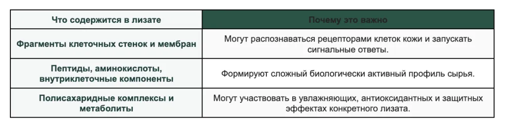 Снимок экрана 2026-10-05 в 18.53.53.png Снимок экрана 2026-10-05 в 18.53.53.png