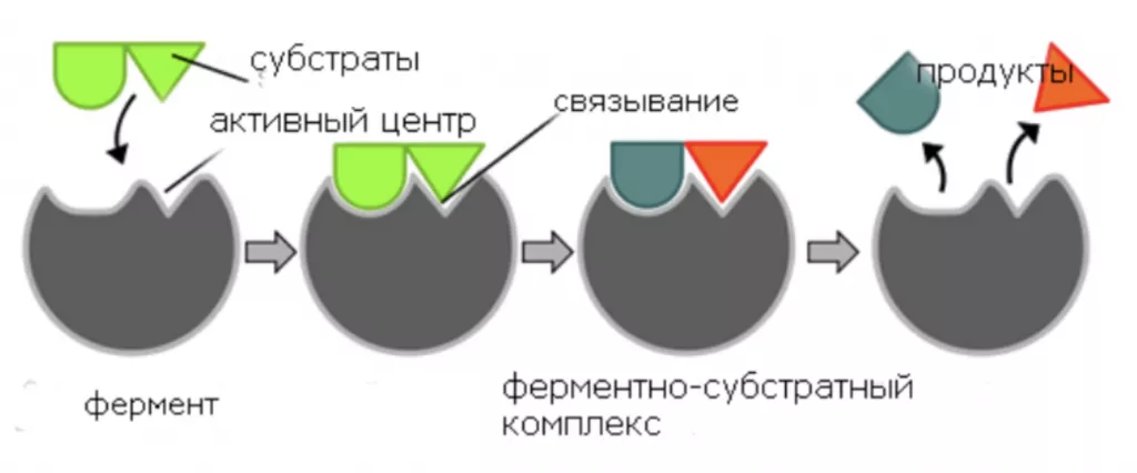Снимок экрана 2026-07-16 в 18.41.05.png Снимок экрана 2026-07-16 в 18.41.05.png