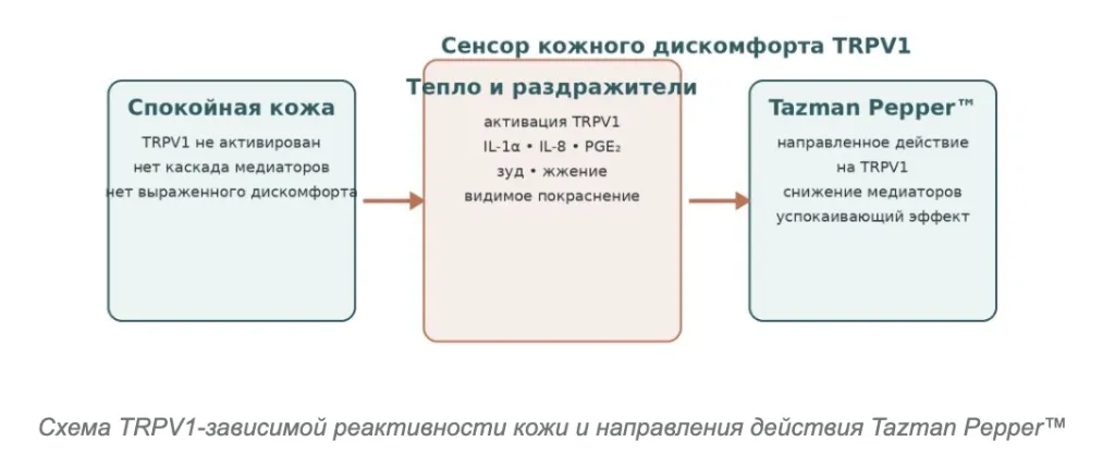 Снимок экрана 2026-09-22 в 16.34.33.png Снимок экрана 2026-09-22 в 16.34.33.png
