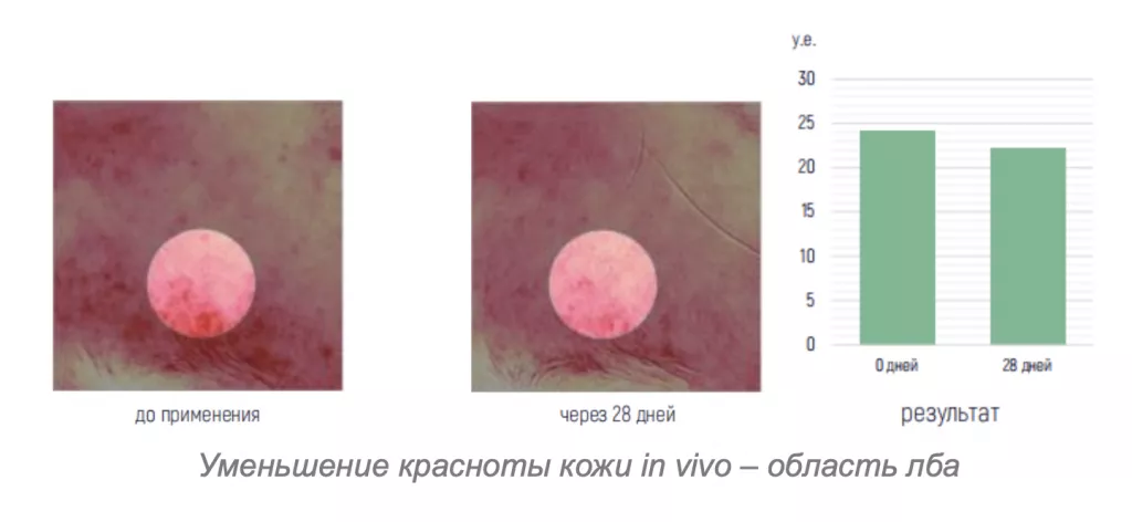 Снимок экрана 2026-08-04 в 20.14.15.png