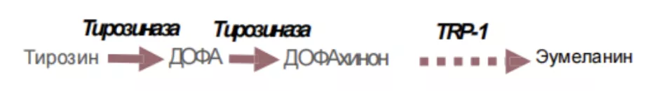 Снимок экрана 2026-07-31 в 19.41.18.png Снимок экрана 2026-07-31 в 19.41.18.png