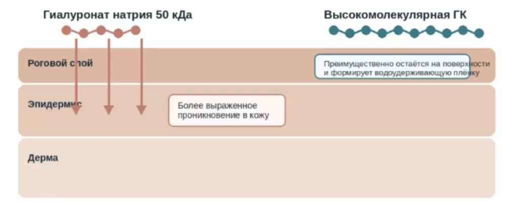 Снимок экрана 2026-08-04 в 20.05.55.png