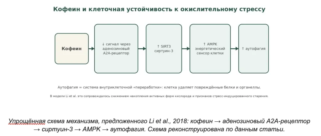 Снимок экрана 2026-10-05 в 19.17.05.png Снимок экрана 2026-10-05 в 19.17.05.png