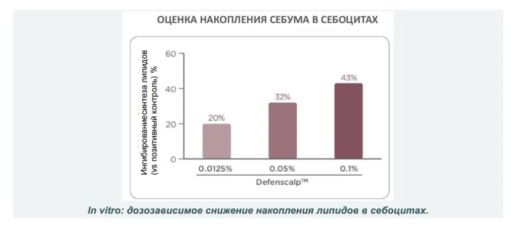 Снимок экрана 2026-10-06 в 17.52.50.png