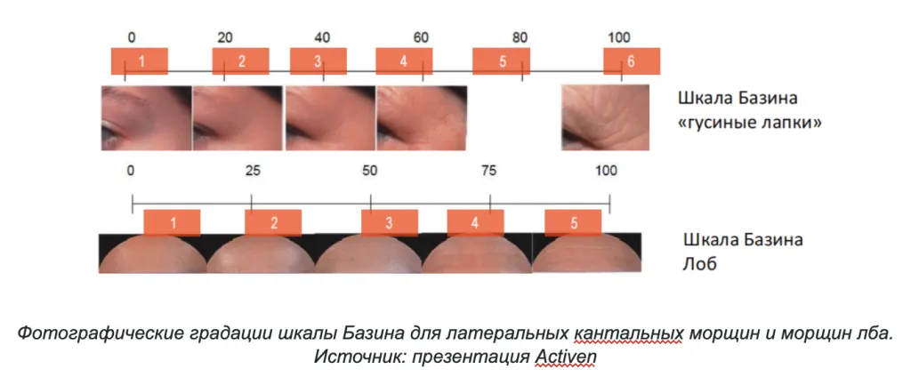 Снимок экрана 2026-09-24 в 20.59.59.png