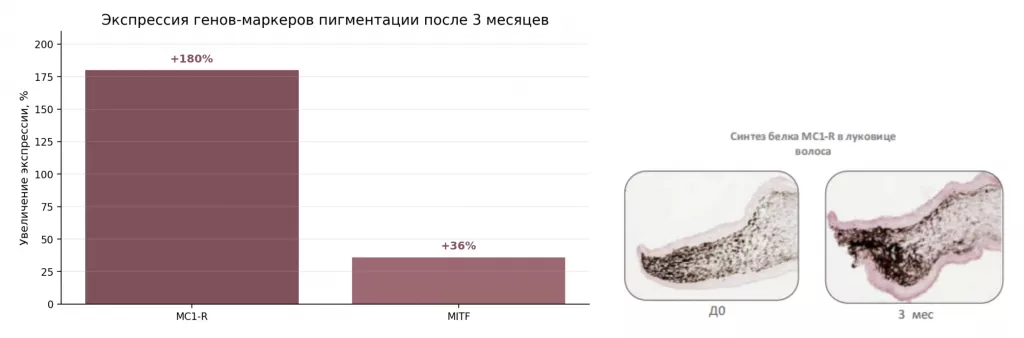 Снимок экрана 2026-07-31 в 19.32.12.png Снимок экрана 2026-07-31 в 19.32.12.png