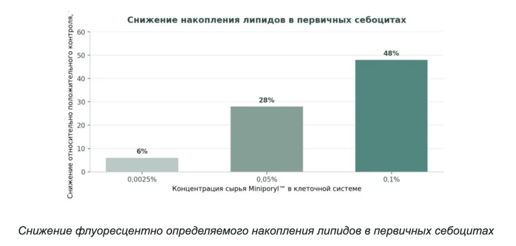 Снимок экрана 2026-09-24 в 19.11.38.png