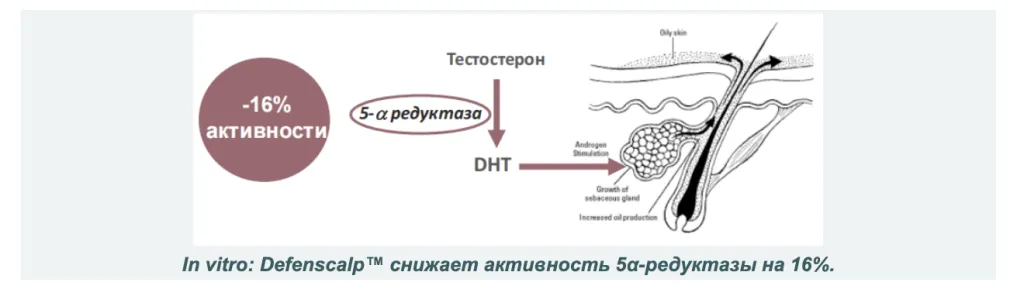Снимок экрана 2026-10-06 в 17.50.48.png