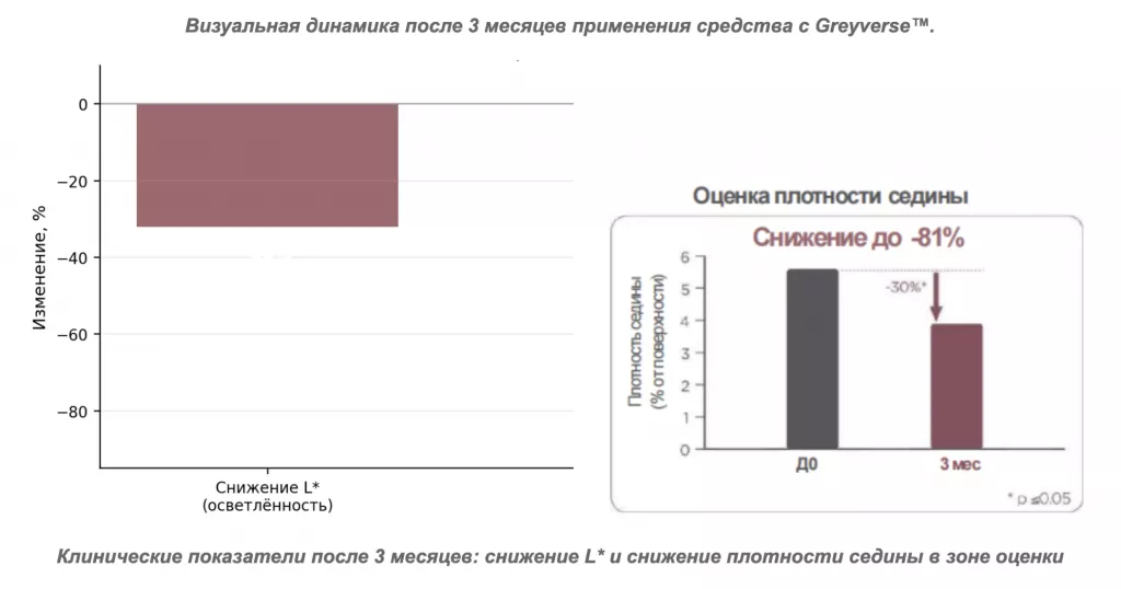Снимок экрана 2026-07-31 в 19.29.08.png Снимок экрана 2026-07-31 в 19.29.08.png