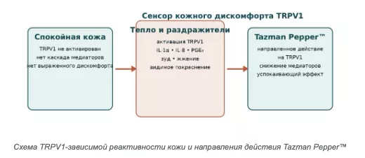 Снимок экрана 2026-08-05 в 17.45.50.png Снимок экрана 2026-08-05 в 17.45.50.png