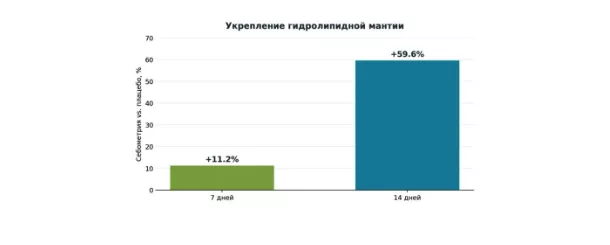 Снимок экрана 2026-08-25 в 20.24.40.png