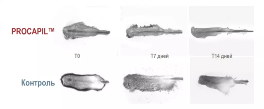 Снимок экрана 2026-02-26 в 21.24.57.png